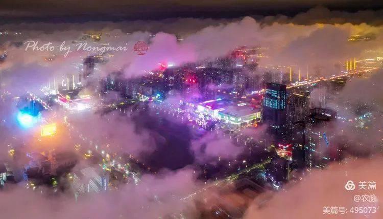 趣味数学：100只猫吃鱼吃100条鱼，真的需要100分钟吗？很好奇